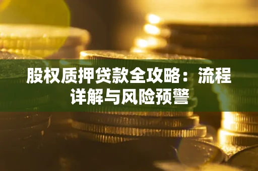 武汉股权质押贷款全攻略：流程详解与风险预警
