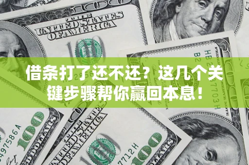 武汉借条打了还不还？这几个关键步骤帮你赢回本息！