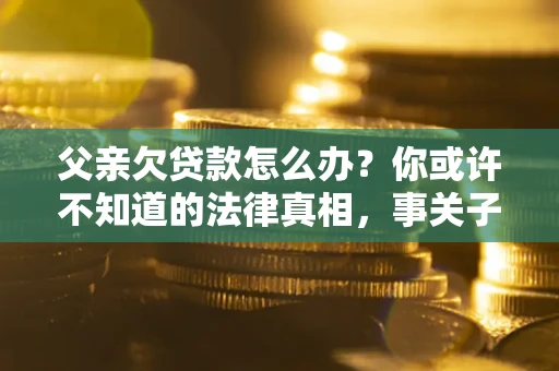 武汉父亲欠贷款怎么办？你或许不知道的法律真相，事关子女未来