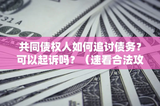 武汉共同债权人如何追讨债务？可以起诉吗？（速看合法攻略）