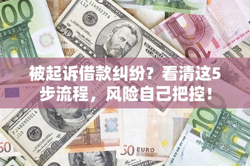 武汉被起诉借款纠纷？看清这5步流程，风险自己把控！