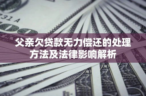 武汉父亲欠贷款无力偿还的处理方法及法律影响解析