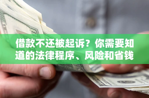 武汉借款不还被起诉？你需要知道的法律程序、风险和省钱技巧